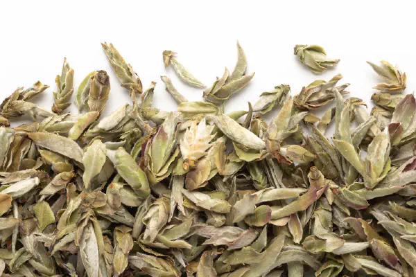 Image of https://camellia-sinensis.com/en/nan-mei-wild-tree-buds/2205