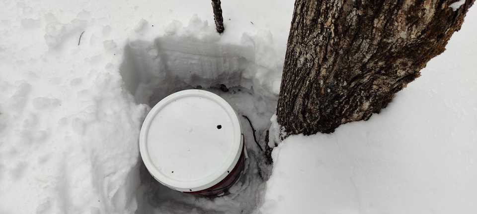 A bucket about to attached to a tree